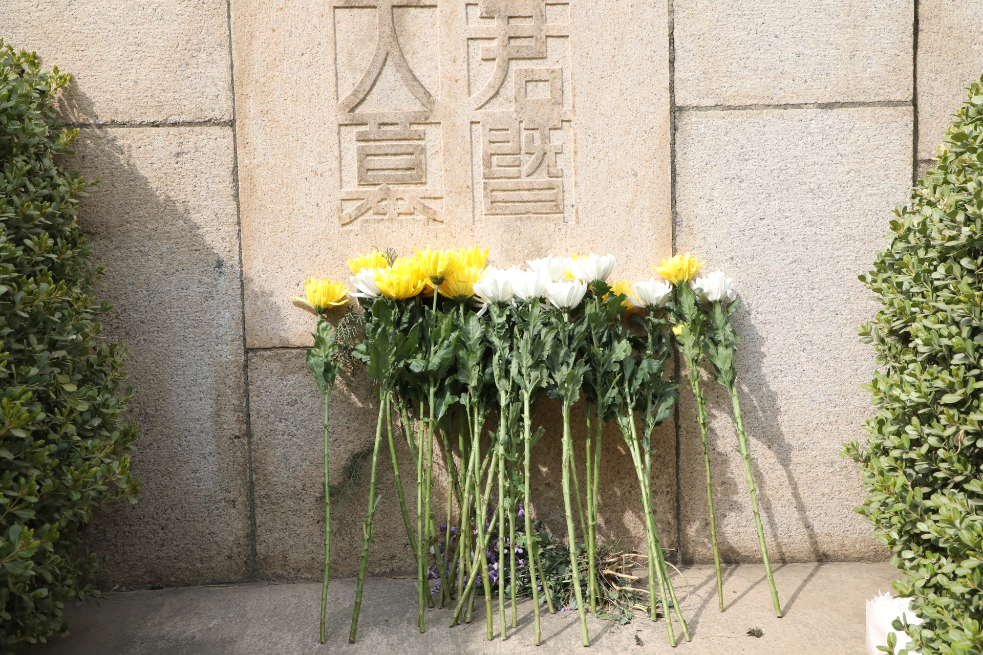 微信圖片_20230403112630.jpg